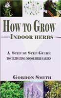 How to Grow Indoor Herbs: A Step by Step Guide to Cultivating Indoor Herb Garden