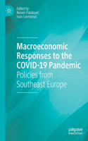 Macroeconomic Responses to the Covid-19 Pandemic