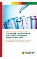 Efeitos da telmisartana nos tecidos adiposos branco e marrom