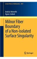 Milnor Fiber Boundary of a Non-isolated Surface Singularity
