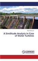 A Similitude Analysis in Case of Water Turbines: (English)