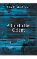 A Trip to the Orient