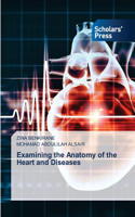 Examining the Anatomy of the Heart and Diseases