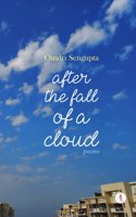 After the Fall of a Cloud