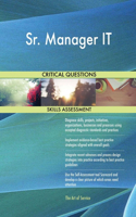 Sr. Manager IT Critical Questions Skills Assessment