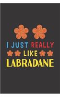I Just Really Like Labradane: Dog Training Logbook For Peoples Who Loves Their Labradane Dog