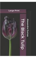The Black Tulip