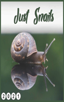 Just Snails: 2021 wall & Office Calendar 16 Monthe Sep.2020 to Dec.2021