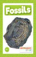 Fossils