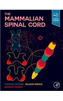 The Mammalian Spinal Cord