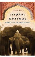 Elephas Maximus