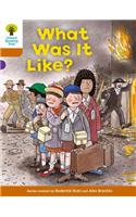 Oxford Reading Tree: Level 8: More Stories: What Was It Like?: (Oxford Reading Tree)