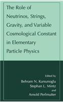 Role of Neutrinos, Strings, Gravity, and Variable Cosmological Constant in Elementary Particle Physics