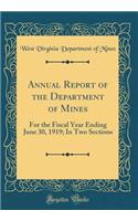 Annual Report of the Department of Mines: For the Fiscal Year Ending June 30, 1919; In Two Sections (Classic Reprint)