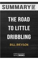 Summary of The Road to Little Dribbling