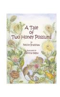 Tale of Two Honey Possums