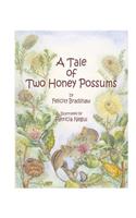 A Tale of Two Honey Possums