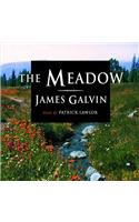 Meadow Lib/E