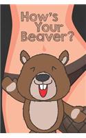 How's Your Beaver?