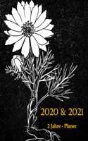 2020 & 2021 2 Jahre-Planer: Monatsplaner für 2 Jahre - 24 Monate Kalender, 2 Jahre Terminvereinbarung, Tagebuch, Logbuch (Vol.9)