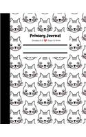 Primary Journal, Grades K-3, Draw and Write