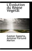 L' Volution Du R Gne V G Tal