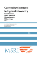 Current Developments in Algebraic Geometry