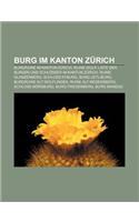 Burg Im Kanton Zurich: Burgruine Im Kanton Zurich, Ruine Wulp, Liste Der Burgen Und Schlosser Im Kanton Zurich, Ruine Glanzenberg(German)