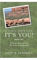 It's Not Your Life, It's You Book Two