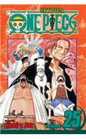 One Piece, Vol. 25: The 100 Million Berry Man