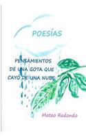 Pensamientos de una gota que cayo de una nube: Poesias(Spanish)