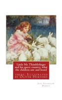 Little Mr. Thimblefinger and his queer country; what the children saw and heard