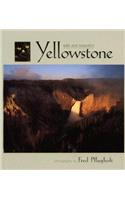 Yellowstone Wild and Beautiful