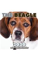 The Beagle 2020 Mini Wall Calendar