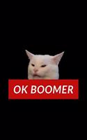 OK Boomer Smudge the Cat Notebook - Lined Notebook 6 x 9 inches (15.24 x 22.86 cm) - 120 pages