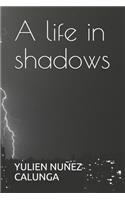 A life in shadows
