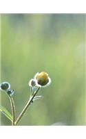 Meadow Design Notebook Large Size 8.5 x 11 Ruled 150 Pages