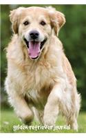 Golden Retriever Journal: 6 x 9 inch dog notebook, golden retriever notebook, college ruled lined journal, 200 pages