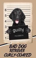 Bad Dog Retriever Curly-Coated: Handwriting Practice Paper for Kids Notebook with Dotted Lined Sheets for K-3 Students Featuring 120 Pages 6x9