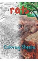 Rat Coloring Sheets: 30 Rat Drawings, Coloring Sheets Adults Relaxation, Coloring Book for Kids, for Girls, Volume 14