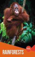 Rainforests: (Discover and Learn)