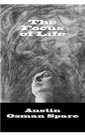 The Focus of Life