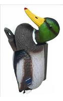 No New Kind of Duck