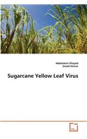 Sugarcane Yellow Leaf Virus