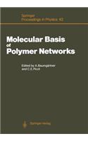 Molecular Basis of Polymer Networks