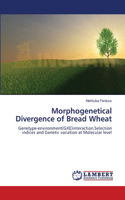 Morphogenetical Divergence of Bread Wheat