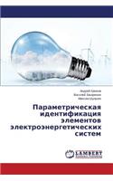 Parametricheskaya identifikatsiya elementov elektroenergeticheskikh sistem