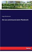 Lex commissoria beim Pfandrecht