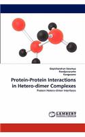 Protein-Protein Interactions in Hetero-dimer Complexes