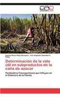 Determinacion de La Vida Util En Subproductos de La Cana de Azucar